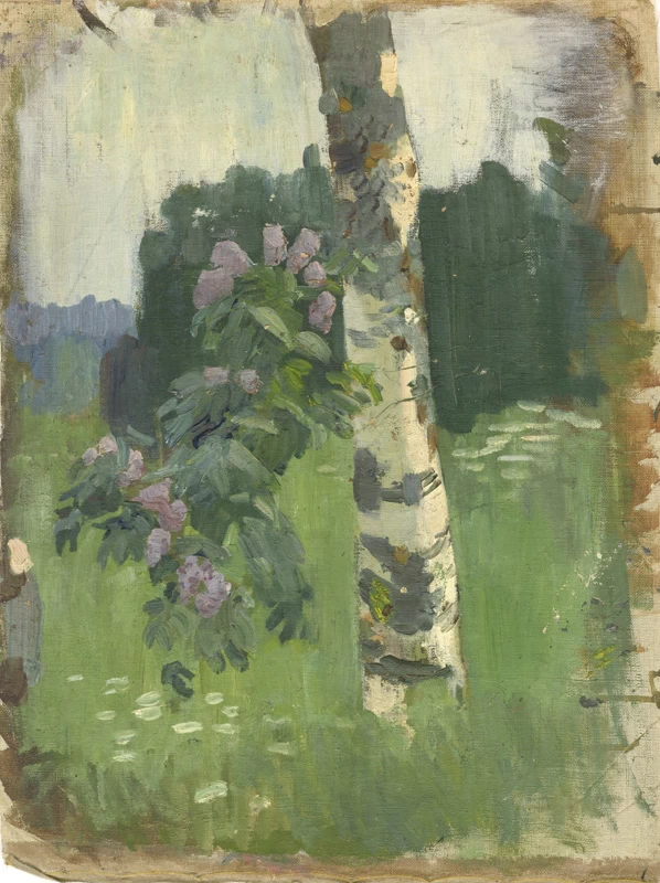 Tronco di betulla. Schizzo - Art Museum of Estonia's painting collection, Tallinn